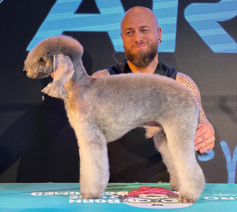Corte a Tijera en Samoa Estilistes Canins